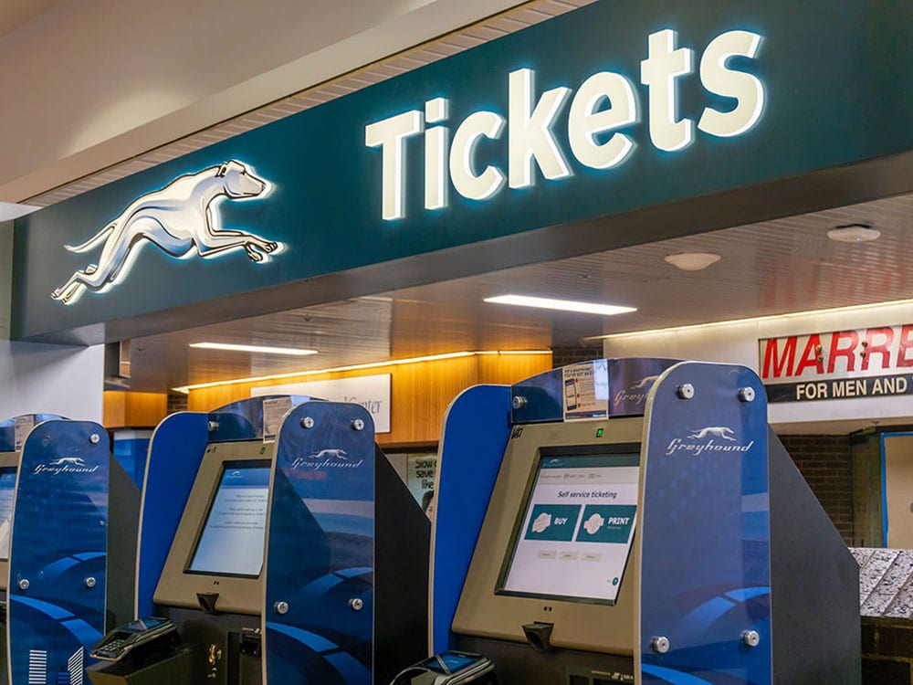 Greyhound