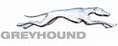 Greyhound Logo